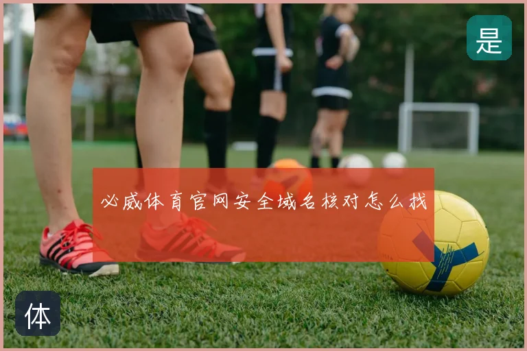 必威体育官网安全域名核对怎么找