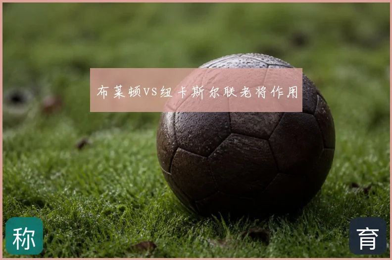 布莱顿vs纽卡斯尔联老将作用